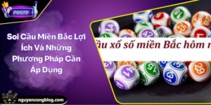 soi cầu miền bắc